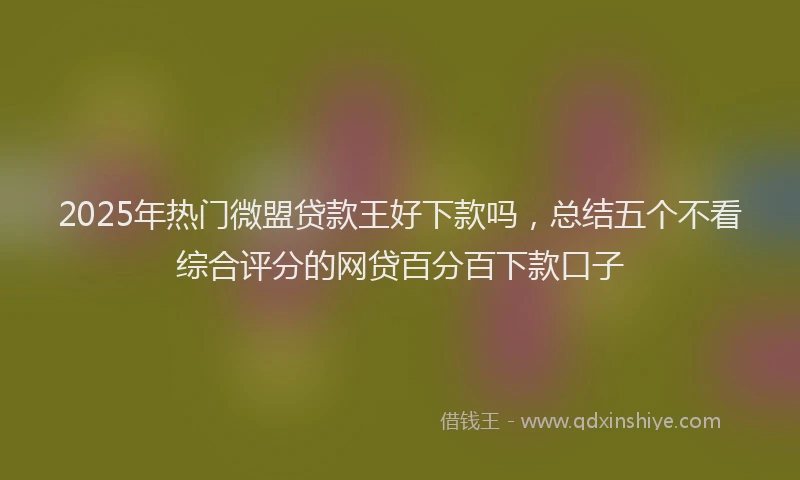 2025年热门微盟贷款王好下款吗，总结五个不看综合评分的网贷百分百下款口子