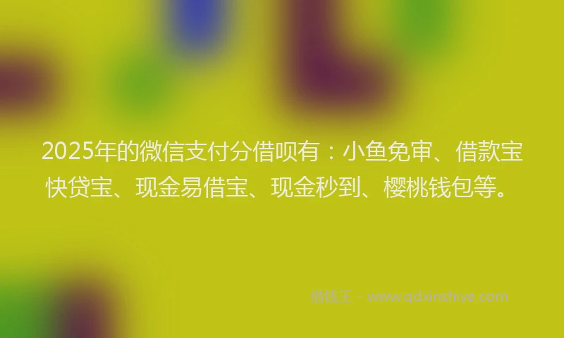 2025年的微信支付分借呗有：小鱼免审、借款宝快贷宝、现金易借宝、现金秒到、樱桃钱包等。