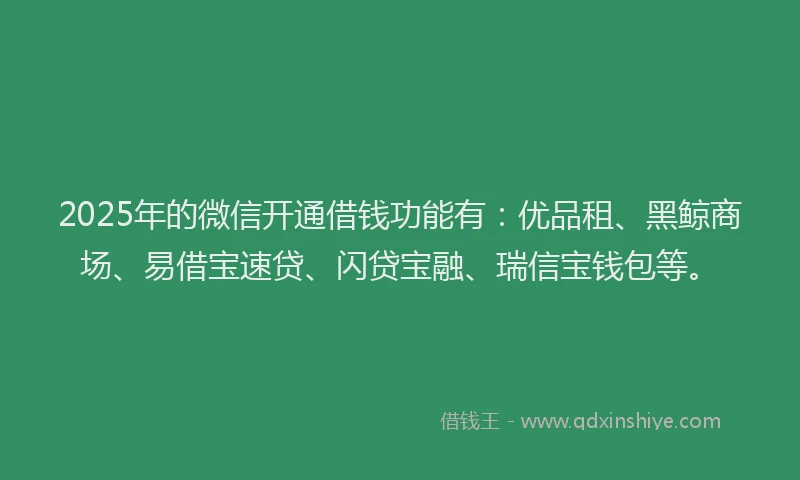 2025年的微信开通借钱功能有：优品租、黑鲸商场、易借宝速贷、闪贷宝融、瑞信宝钱包等。