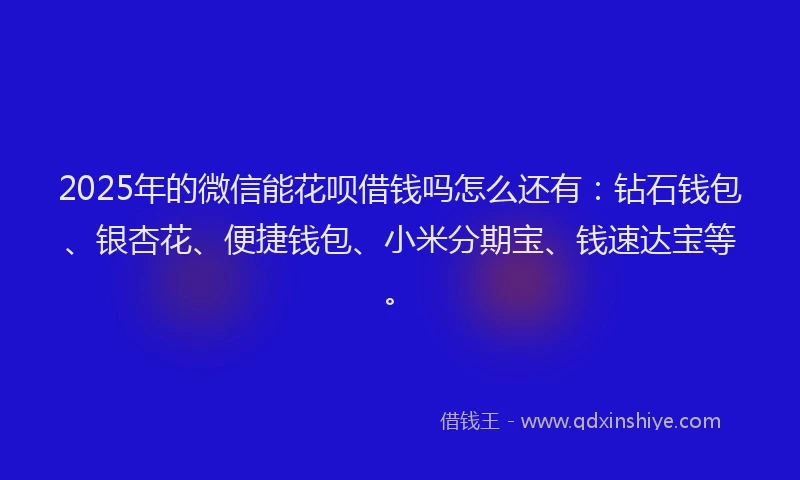 2025年的微信能花呗借钱吗怎么还有：钻石钱包、银杏花、便捷钱包、小米分期宝、钱速达宝等。