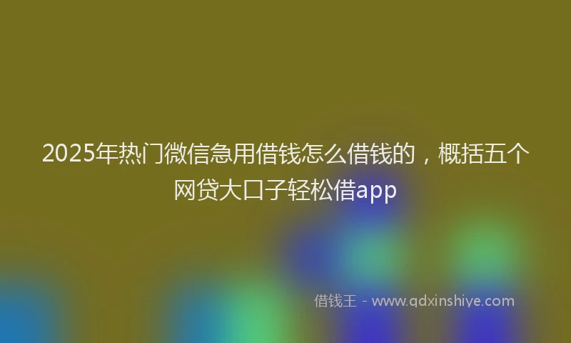 2025年热门微信急用借钱怎么借钱的，概括五个网贷大口子轻松借app