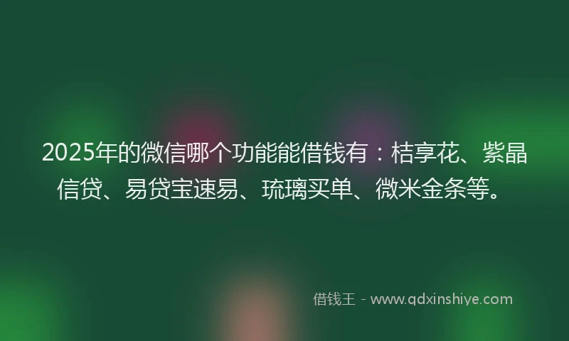 2025年的微信哪个功能能借钱有：桔享花、紫晶信贷、易贷宝速易、琉璃买单、微米金条等。