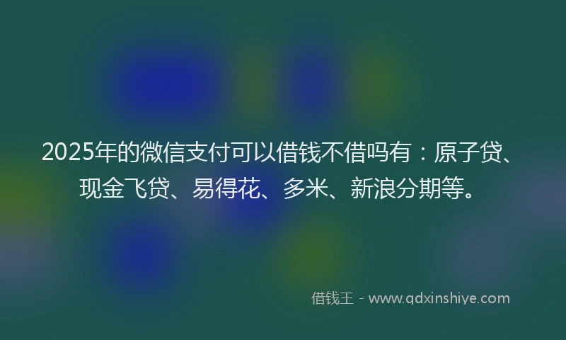 2025年的微信支付可以借钱不借吗有：原子贷、现金飞贷、易得花、多米、新浪分期等。