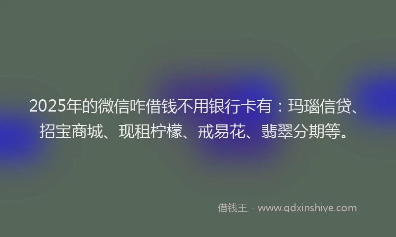 2025年的微信咋借钱不用银行卡有：玛瑙信贷、招宝商城、现租柠檬、戒易花、翡翠分期等。