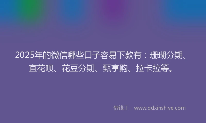 2025年的微信哪些口子容易下款有：珊瑚分期、宜花呗、花豆分期、甄享购、拉卡拉等。