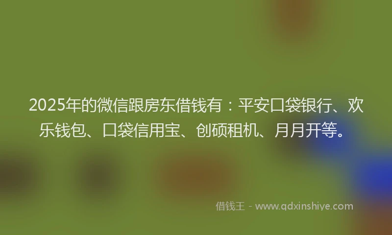 2025年的微信跟房东借钱有：平安口袋银行、欢乐钱包、口袋信用宝、创硕租机、月月开等。