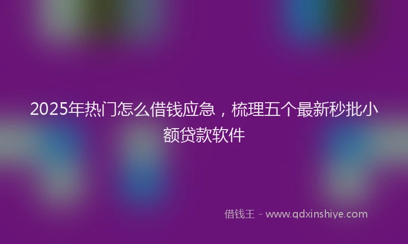 2025年热门怎么借钱应急,梳理五个最新秒批小额贷款软件