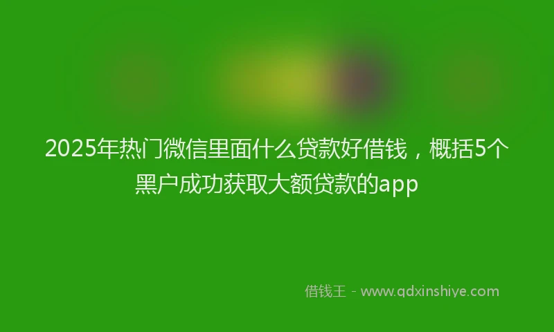 2025年热门微信里面什么贷款好借钱，概括5个黑户成功获取大额贷款的app