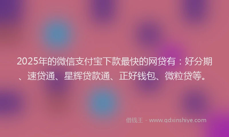 2025年的微信支付宝下款最快的网贷有：好分期、速贷通、星辉贷款通、正好钱包、微粒贷等。