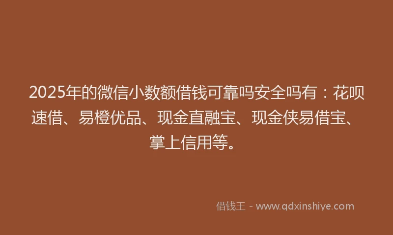 2025年的微信小数额借钱可靠吗安全吗有：花呗速借、易橙优品、现金直融宝、现金侠易借宝、掌上信用等。