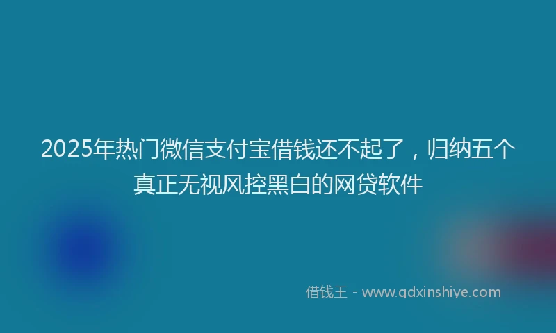 2025年热门微信支付宝借钱还不起了，归纳五个真正无视风控黑白的网贷软件