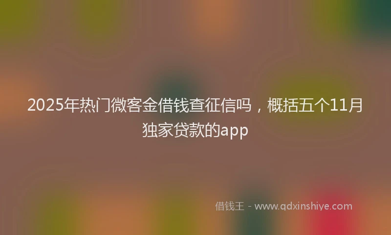 2025年热门微客金借钱查征信吗，概括五个11月独家贷款的app