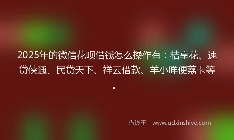 2025年的微信花呗借钱怎么操作有：桔享花、速贷侠通、民贷天下、祥云借款、羊小咩便荔卡等。