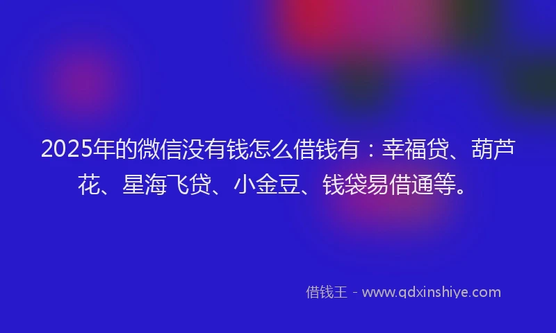 2025年的微信没有钱怎么借钱有：幸福贷、葫芦花、星海飞贷、小金豆、钱袋易借通等。
