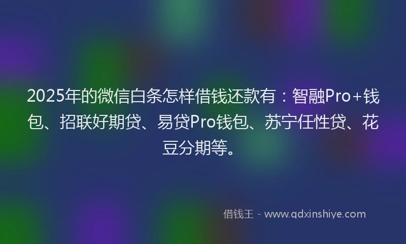 2025年的微信白条怎样借钱还款有：智融Pro+钱包、招联好期贷、易贷Pro钱包、苏宁任性贷、花豆分期等。