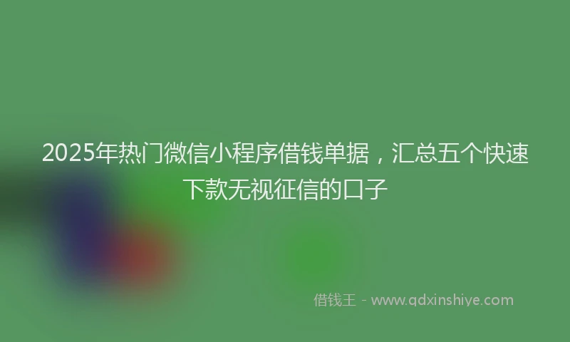 2025年热门微信小程序借钱单据，汇总五个快速下款无视征信的口子