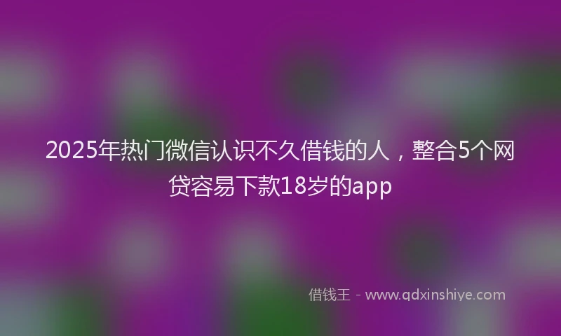 2025年热门微信认识不久借钱的人，整合5个网贷容易下款18岁的app