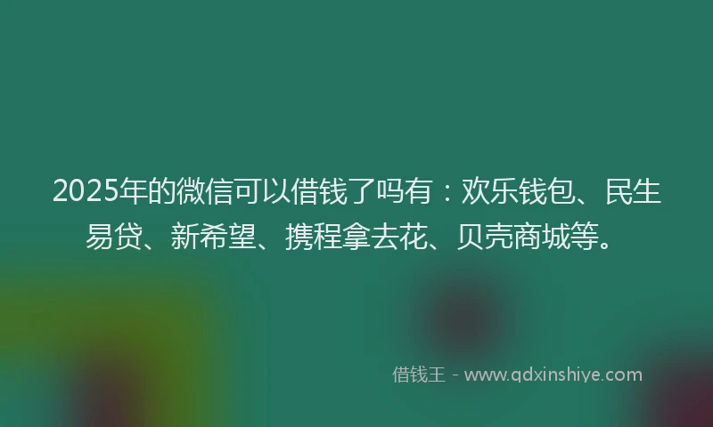 2025年的微信可以借钱了吗有：欢乐钱包、民生易贷、新希望、携程拿去花、贝壳商城等。