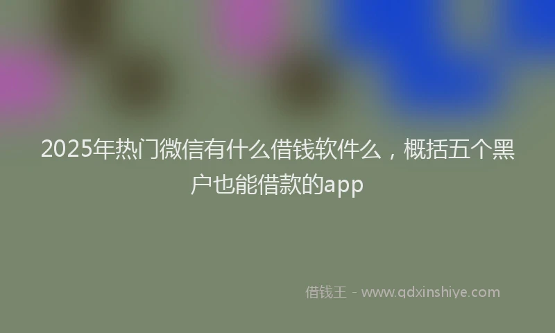2025年热门微信有什么借钱软件么，概括五个黑户也能借款的app