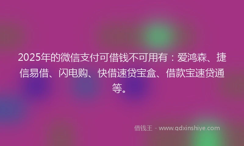 2025年的微信支付可借钱不可用有：爱鸿森、捷信易借、闪电购、快借速贷宝盒、借款宝速贷通等。