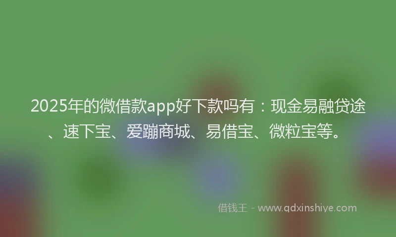 2025年的微借款app好下款吗有：现金易融贷途、速下宝、爱蹦商城、易借宝、微粒宝等。