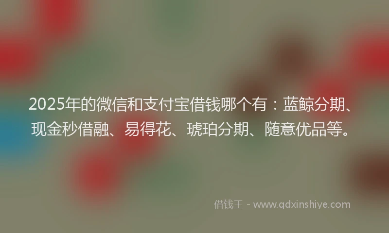 2025年的微信和支付宝借钱哪个有：蓝鲸分期、现金秒借融、易得花、琥珀分期、随意优品等。