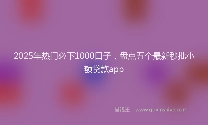 2025年热门必下1000口子,盘点五个最新秒批小额贷款app