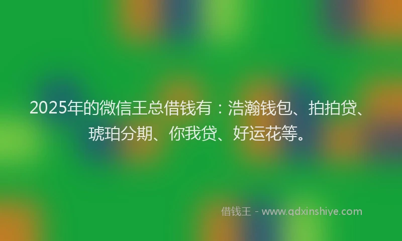 2025年的微信王总借钱有：浩瀚钱包、拍拍贷、琥珀分期、你我贷、好运花等。