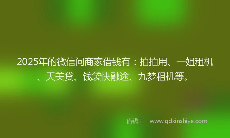 2025年的微信问商家借钱有：拍拍用、一姐租机、天美贷、钱袋快融途、九梦租机等。