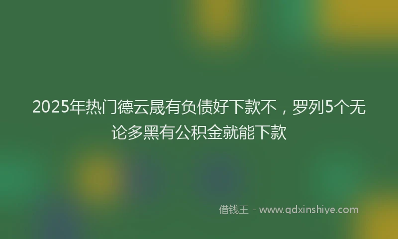 2025年热门德云晟有负债好下款不，罗列5个无论多黑有公积金就能下款