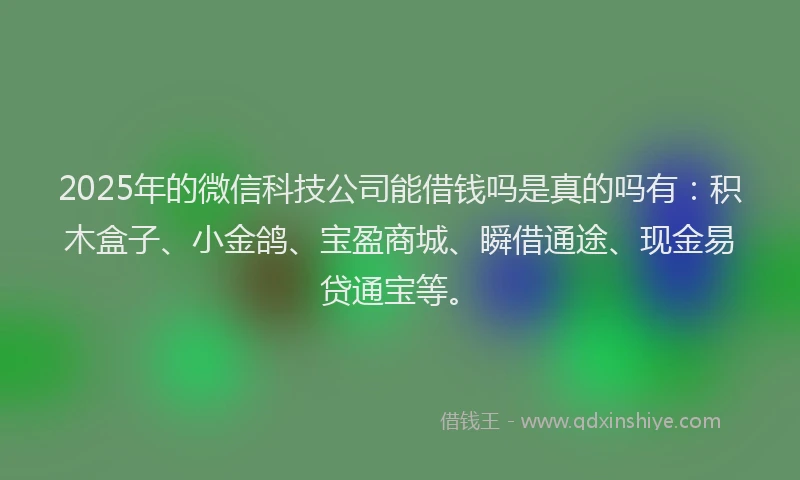 2025年的微信科技公司能借钱吗是真的吗有：积木盒子、小金鸽、宝盈商城、瞬借通途、现金易贷通宝等。