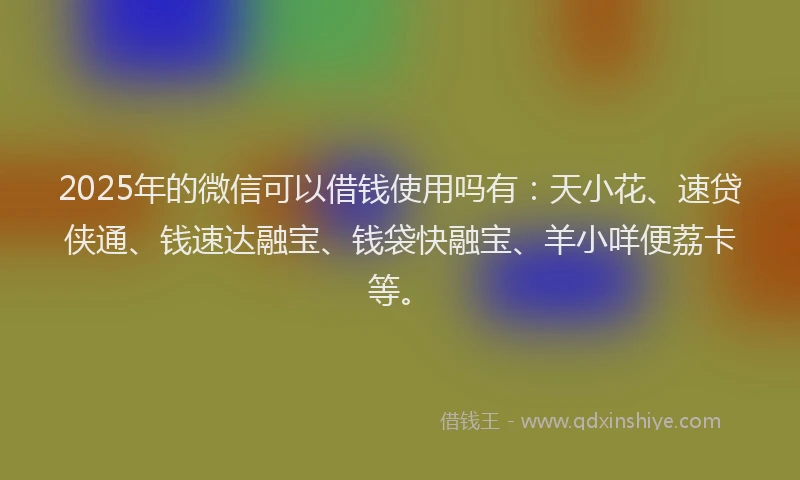 2025年的微信可以借钱使用吗有：天小花、速贷侠通、钱速达融宝、钱袋快融宝、羊小咩便荔卡等。