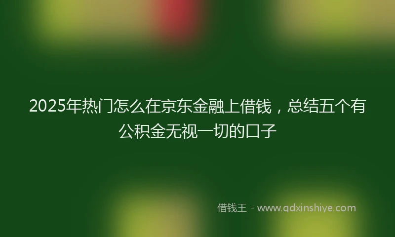 2025年热门怎么在京东金融上借钱，总结五个有公积金无视一切的口子
