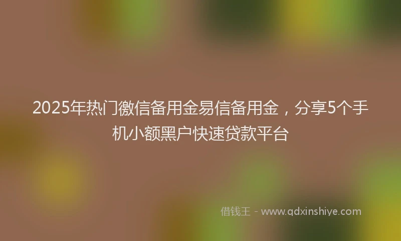 2025年热门徼信备用金易信备用金，分享5个手机小额黑户快速贷款平台