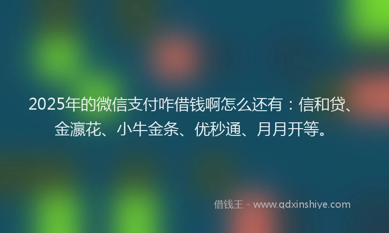 2025年的微信支付咋借钱啊怎么还有：信和贷、金瀛花、小牛金条、优秒通、月月开等。