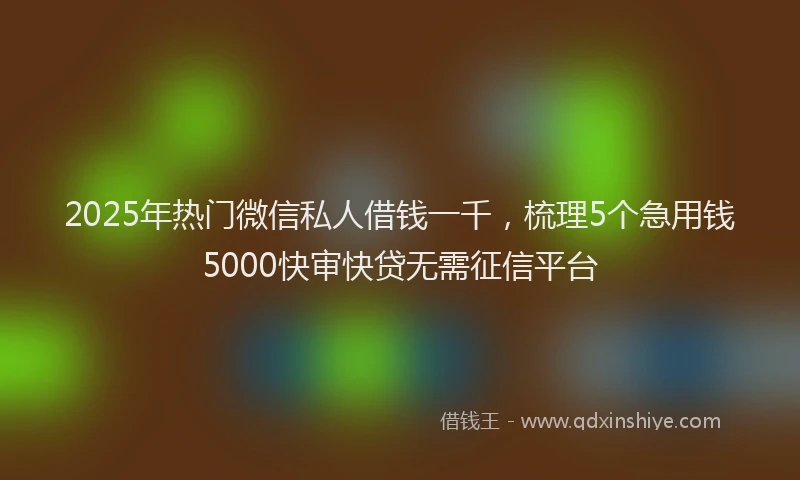 2025年热门微信私人借钱一千，梳理5个急用钱5000快审快贷无需征信平台