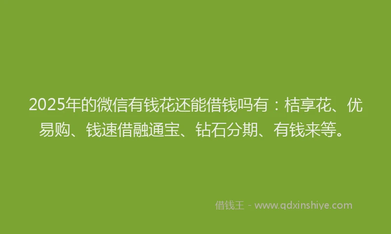 2025年的微信有钱花还能借钱吗有：桔享花、优易购、钱速借融通宝、钻石分期、有钱来等。