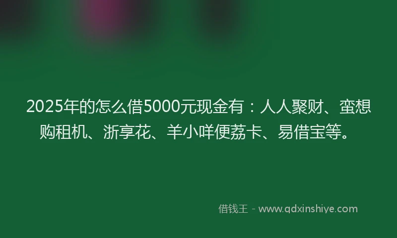2025年的怎么借5000元现金有：人人聚财、蛮想购租机、浙享花、羊小咩便荔卡、易借宝等。