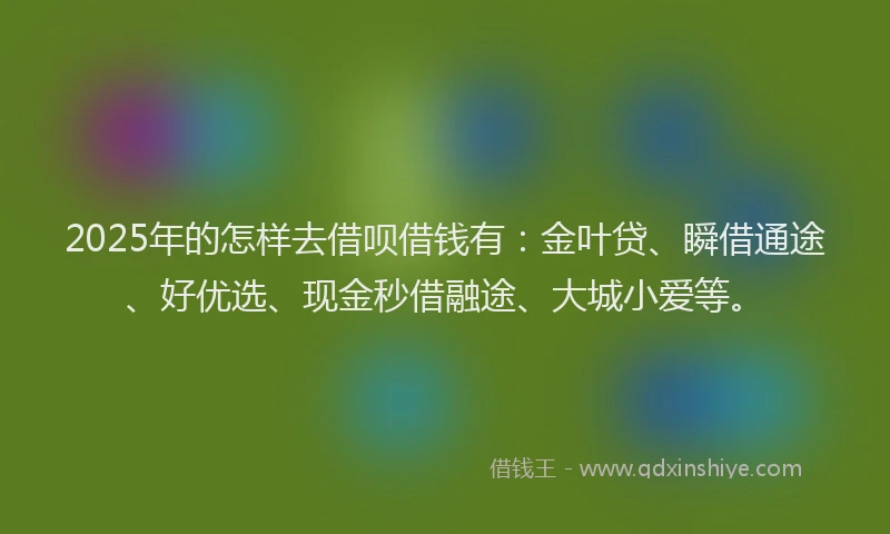2025年的怎样去借呗借钱有：金叶贷、瞬借通途、好优选、现金秒借融途、大城小爱等。