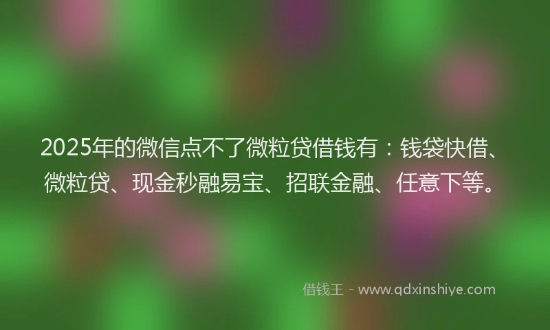 2025年的微信点不了微粒贷借钱有：钱袋快借、微粒贷、现金秒融易宝、招联金融、任意下等。