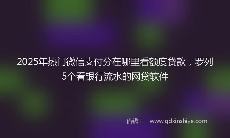 2025年热门微信支付分在哪里看额度贷款，罗列5个看银行流水的网贷软件