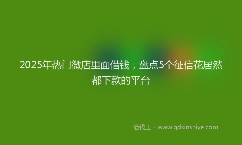 2025年热门微店里面借钱，盘点5个征信花居然都下款的平台