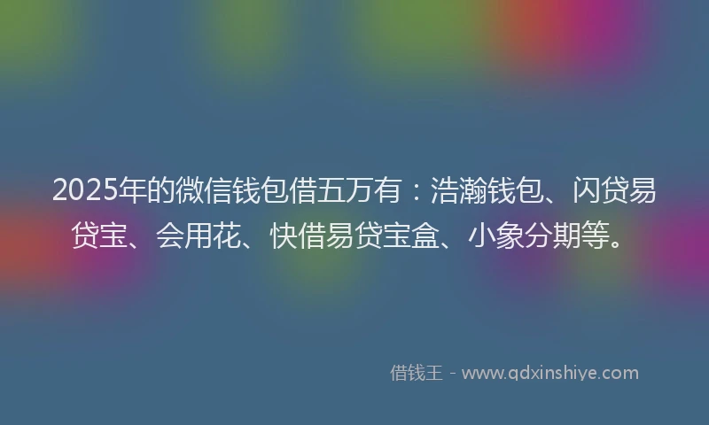 2025年的微信钱包借五万有：浩瀚钱包、闪贷易贷宝、会用花、快借易贷宝盒、小象分期等。