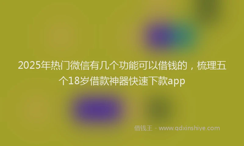 2025年热门微信有几个功能可以借钱的，梳理五个18岁借款神器快速下款app