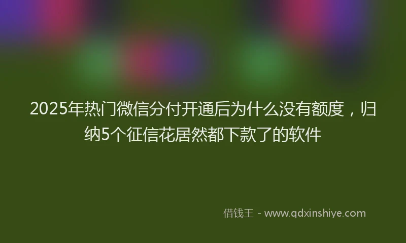 2025年热门微信分付开通后为什么没有额度，归纳5个征信花居然都下款了的软件