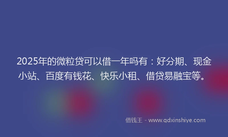 2025年的微粒贷可以借一年吗有：好分期、现金小站、百度有钱花、快乐小租、借贷易融宝等。