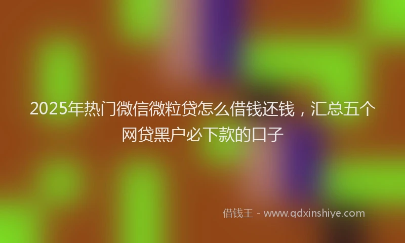 2025年热门微信微粒贷怎么借钱还钱，汇总五个网贷黑户必下款的口子
