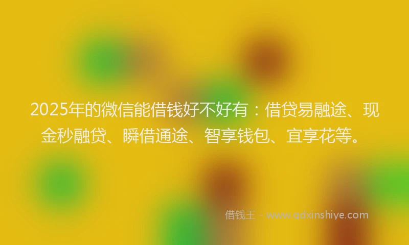 2025年的微信能借钱好不好有:借贷易融途、现金秒融贷、瞬借通途、智享钱包、宜享花等。
