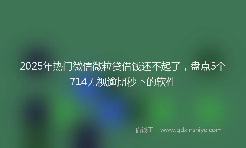 2025年热门微信微粒贷借钱还不起了，盘点5个714无视逾期秒下的软件
