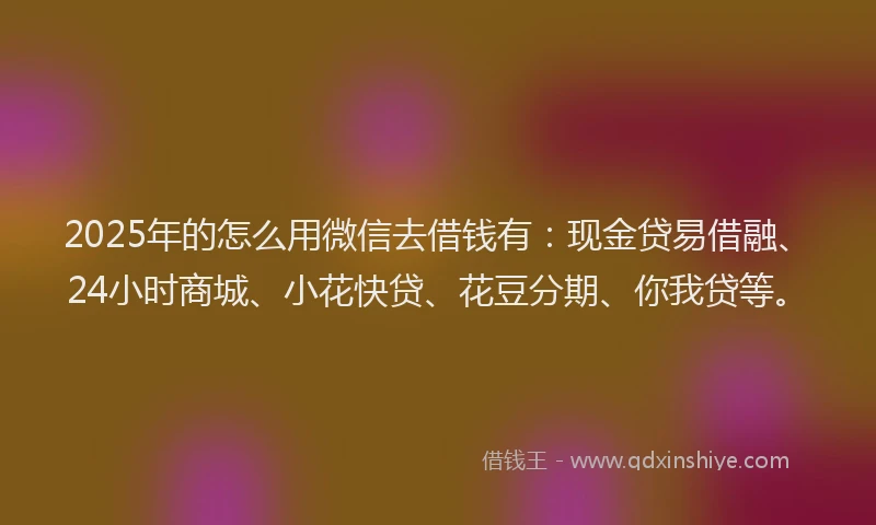 2025年的怎么用微信去借钱有：现金贷易借融、24小时商城、小花快贷、花豆分期、你我贷等。